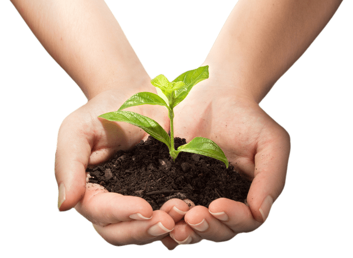 eco