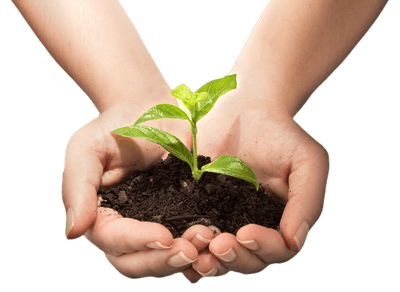 eco