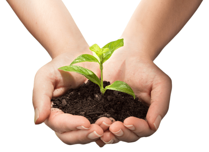 eco